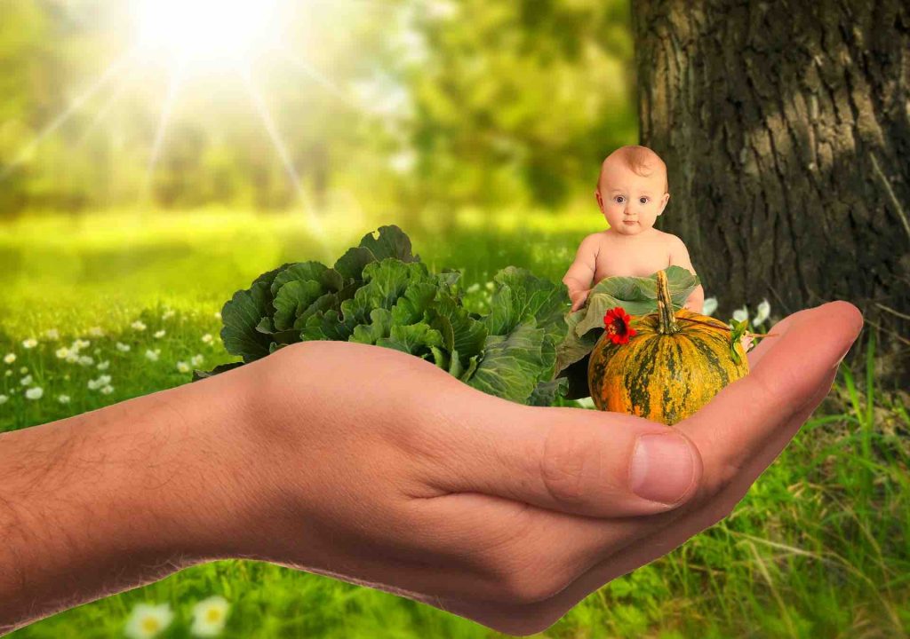 Picture of a child and healthy natural foods